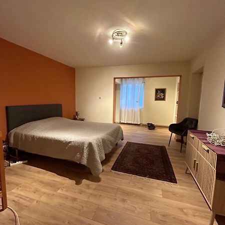 Bel Appartement En Rdc Proche Strasbourg Nice Apartment Very Near Estrasburgo Exterior foto